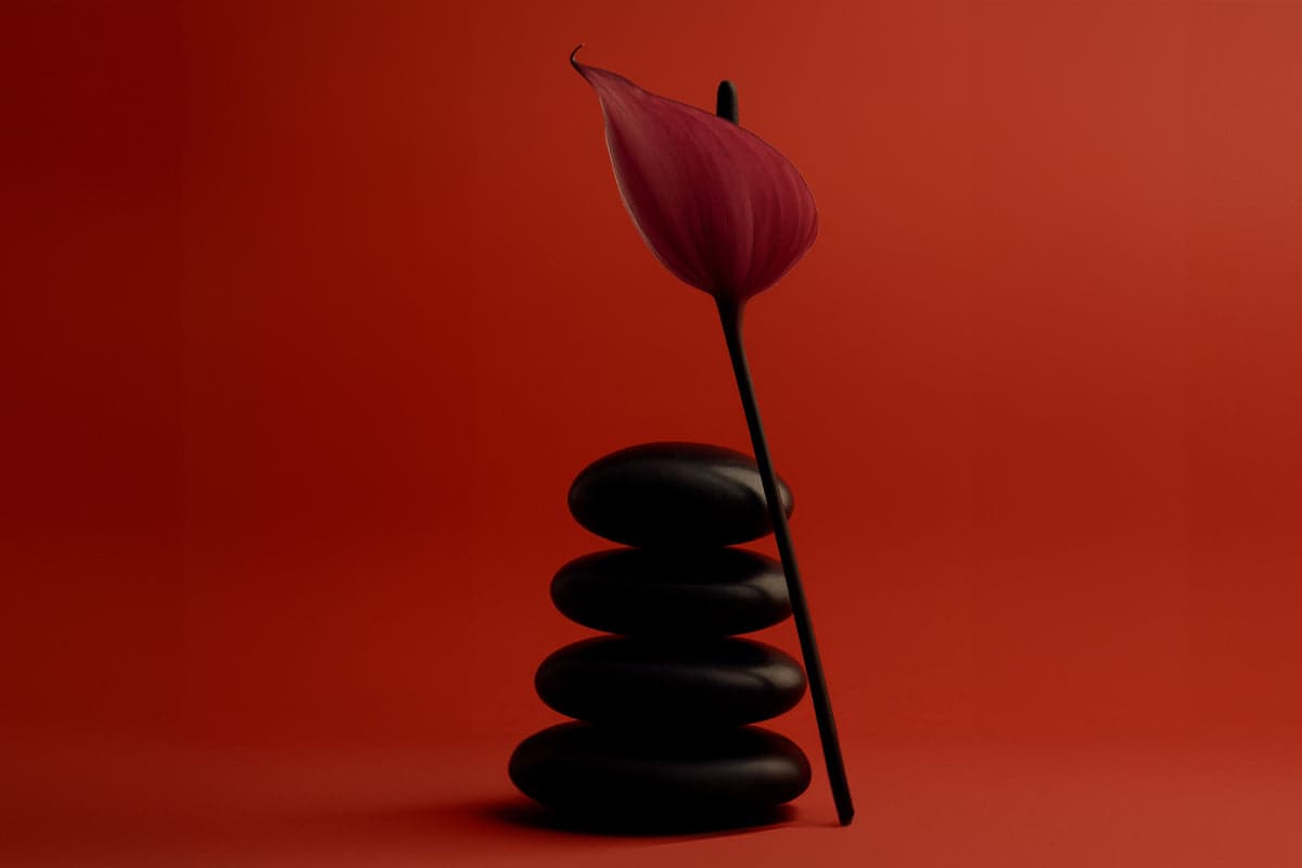 Berberine Benefits: What Can This Supplement Do For You?