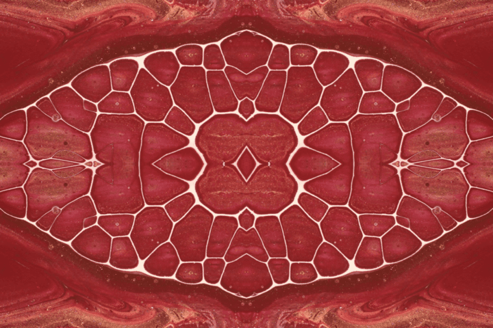 Everything You Need To Know About Collagen Peptides