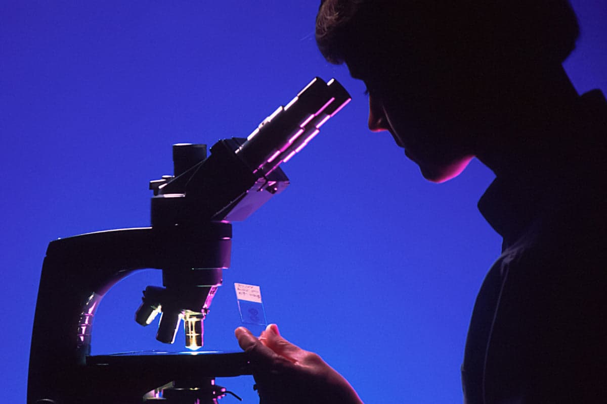 Fasting Insulin, Why Do We Need To Talk About It?