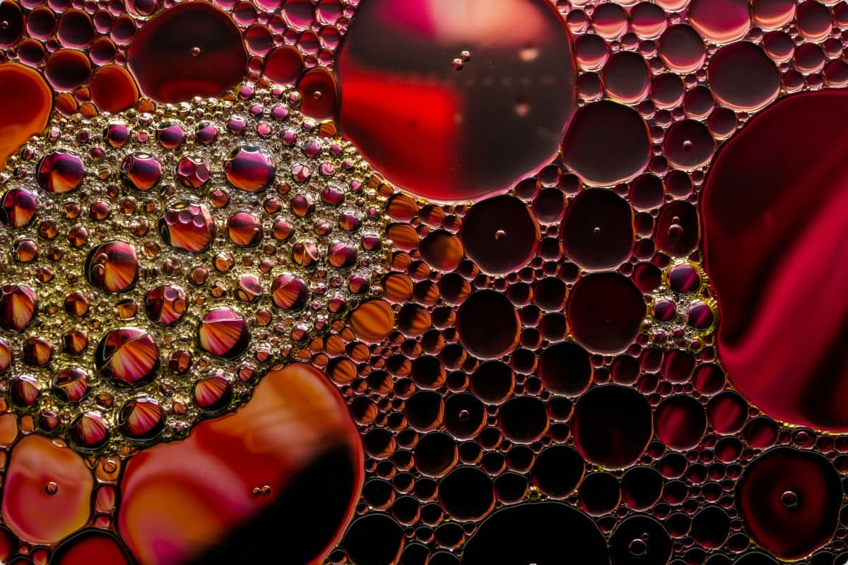 The Overlooked Molecule You Can Now Test At Home