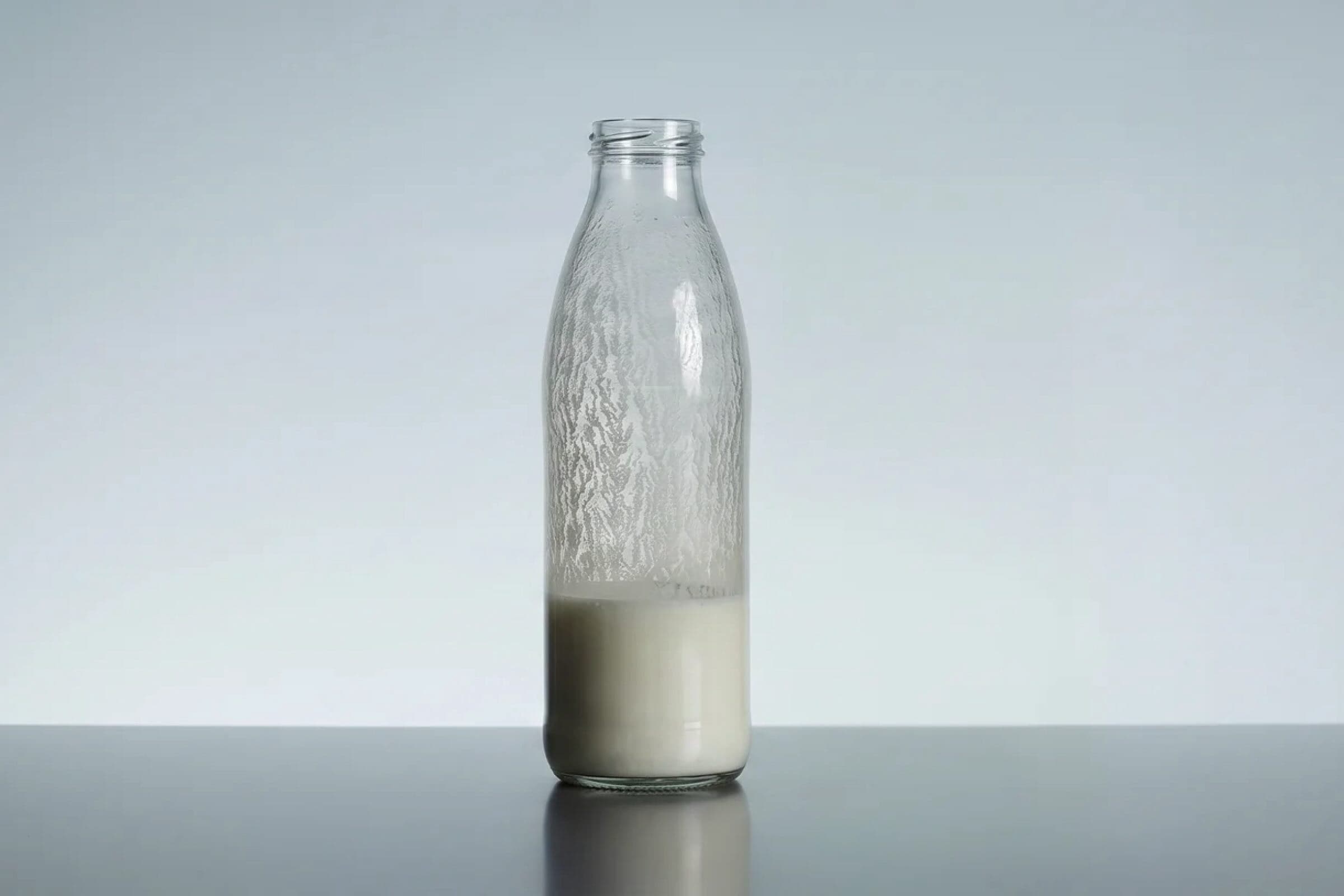 fermented food guide