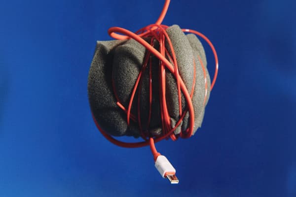 orgasm for your brain