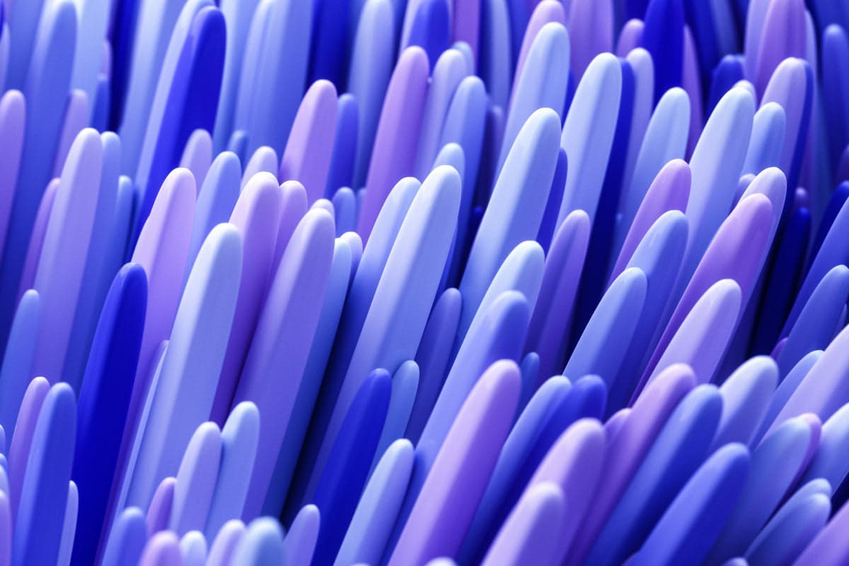 What A Gut Health Nutritionist Wants You To Know About The Gut Barrier